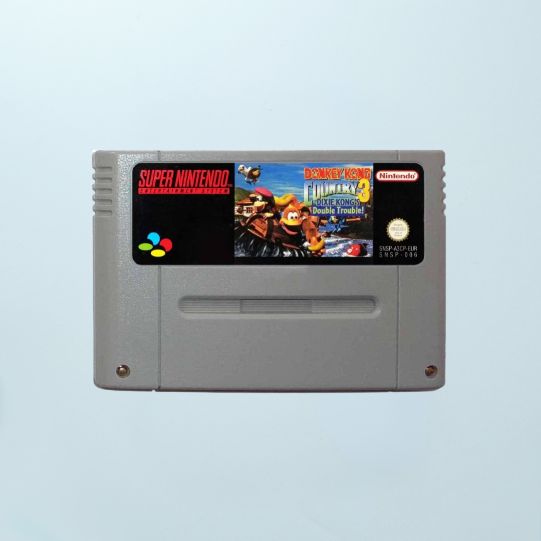 Donkey Kong Country 3: Dixie Kong's Double Trouble! - Memory Lane Games