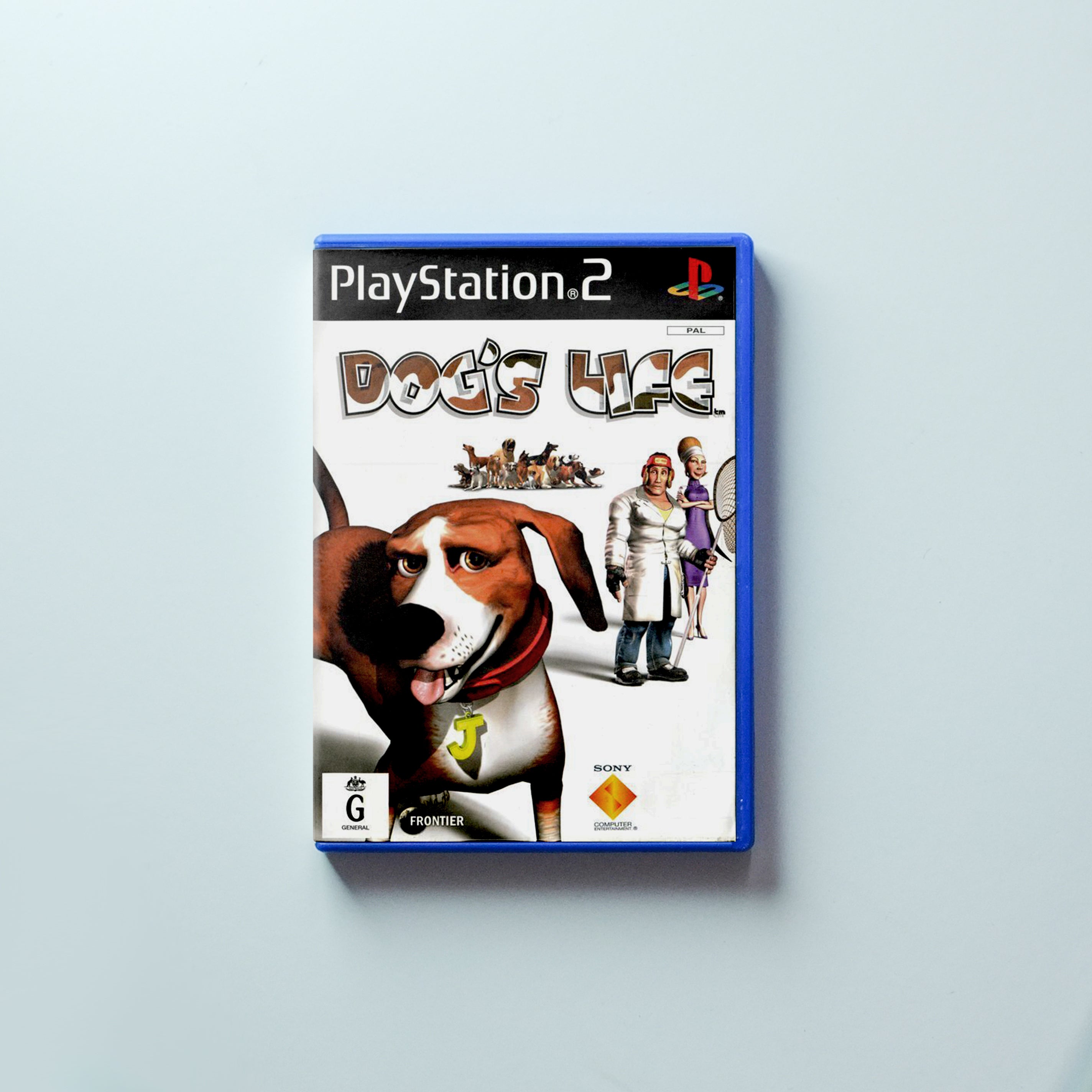 Dog's Life - Memory Lane Games